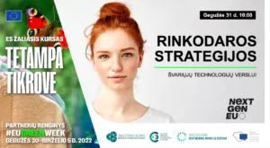 Rinkodaros strategijos švariųjų technologijų verslui